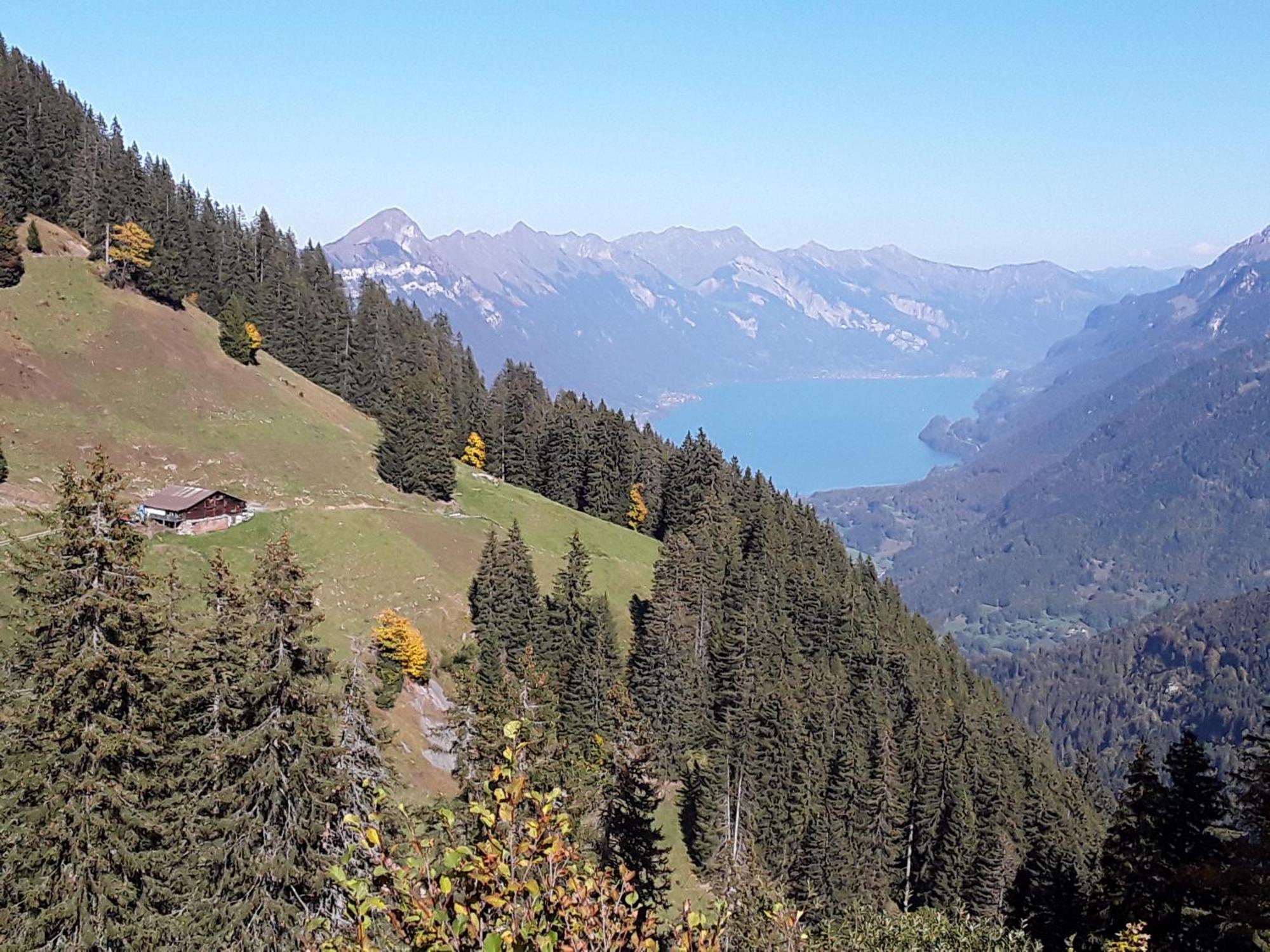Appartamento Desalpes Saxeten Esterno foto